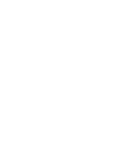 dfb logo white